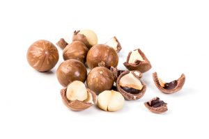 The macadamia nuts on white background